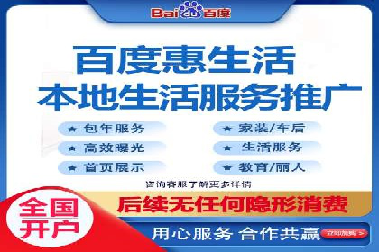 解析某某SEM服务公司的广告投放策略与效果评估